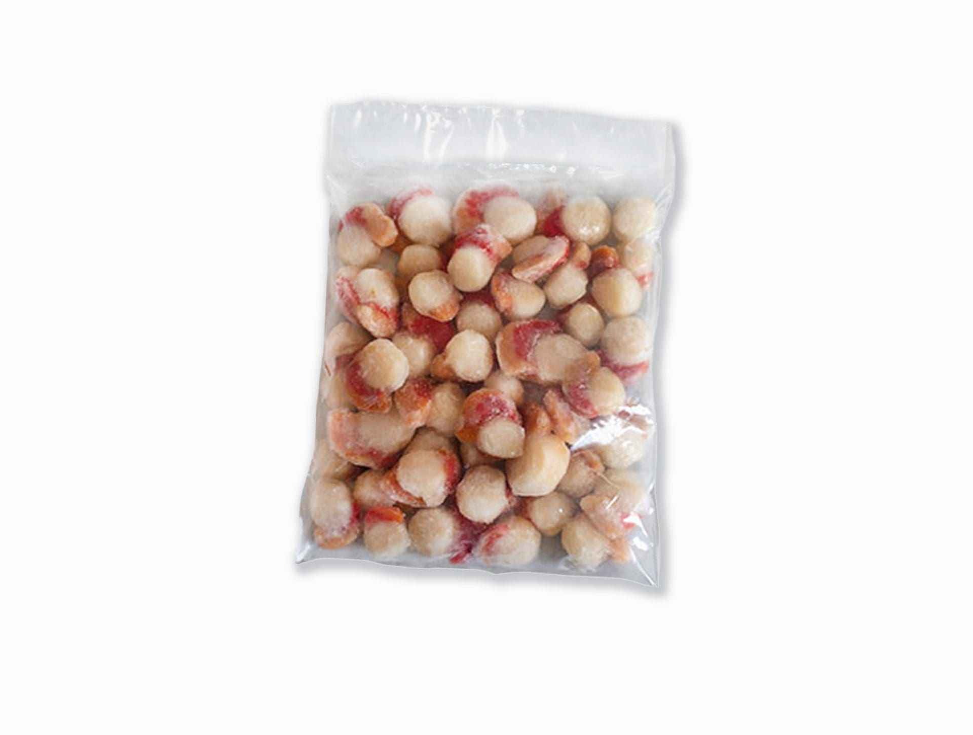 Ostión del Norte carne con coral 1 kg - Imagen 2