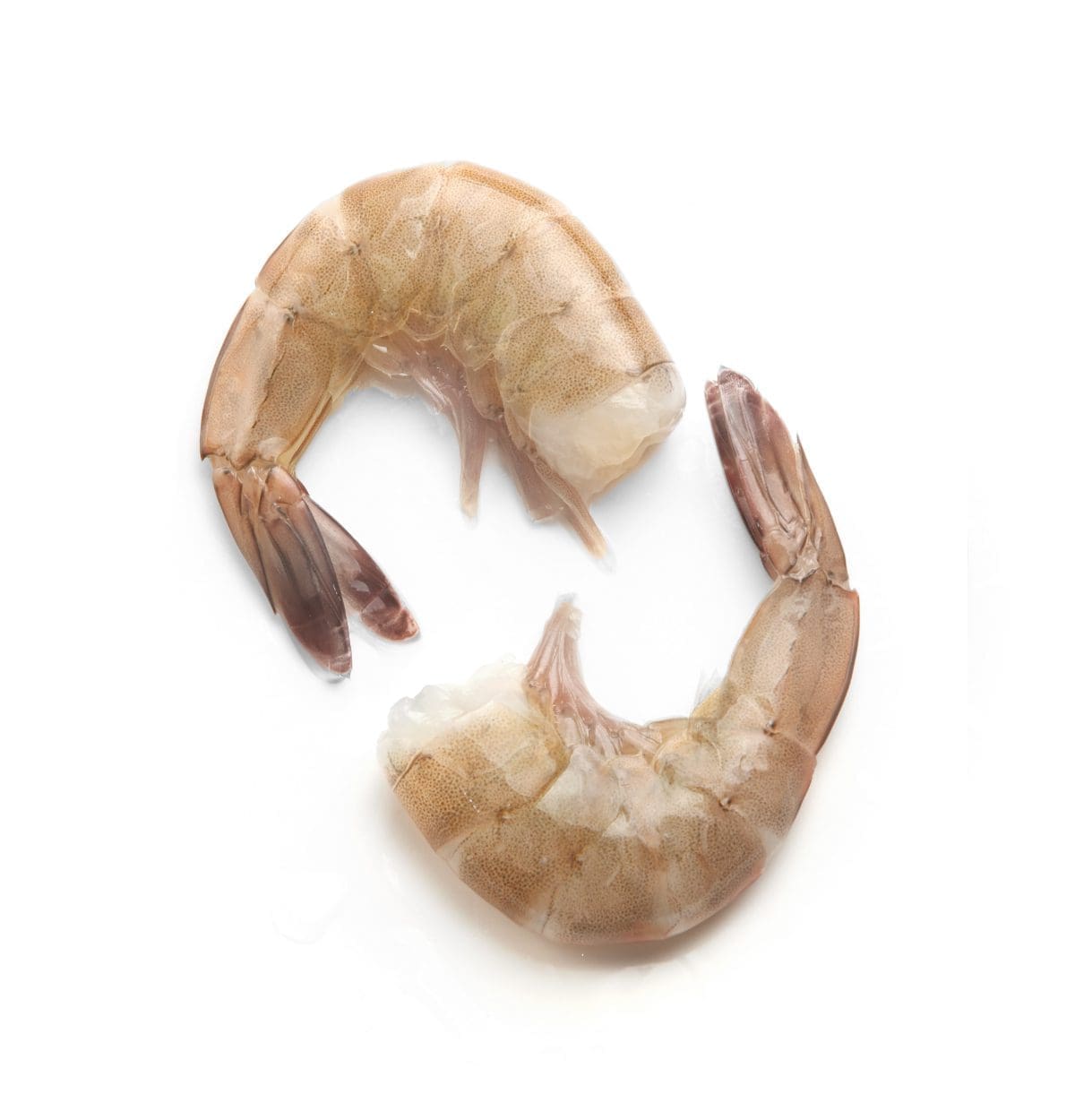 Camarón crudo con cáscara 1 kg - Imagen 2