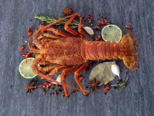 Langosta de Juan Fernández